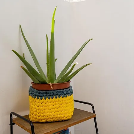 Apartamento Yolo House -