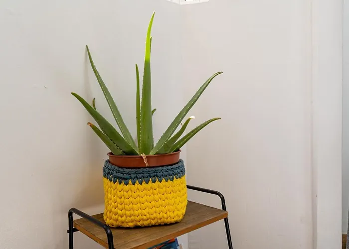 Apartmán Yolo House -